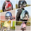 Bolsa de gato de dos hombros bolsa portátil para mascotas cápsula espacial transparente viaje transpirable para gatos mochila para mascotas de gran capacidad caja de aviación details Picture